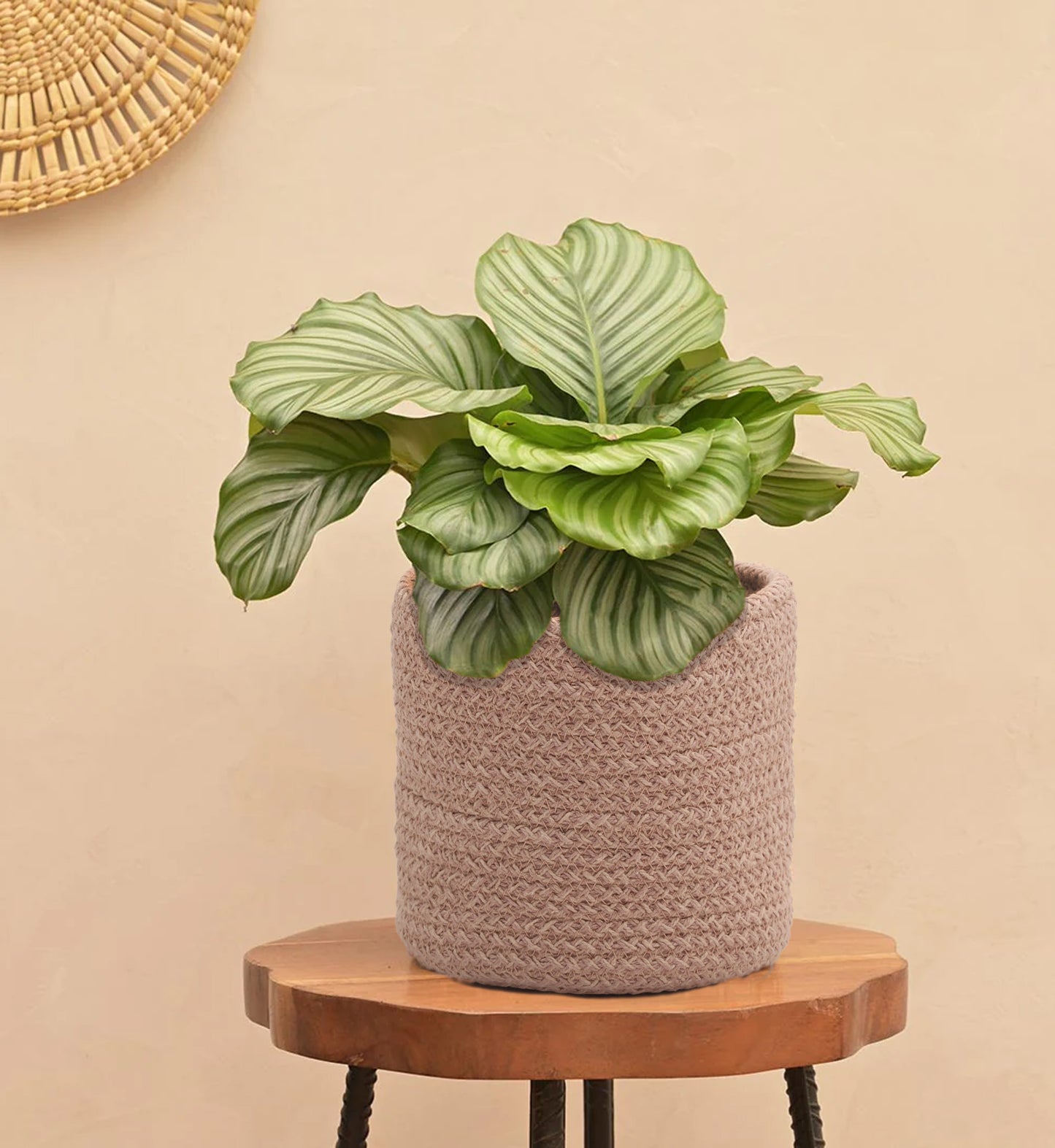 Hand Braided Cotton Basket-Set of 2 (6 Inches)