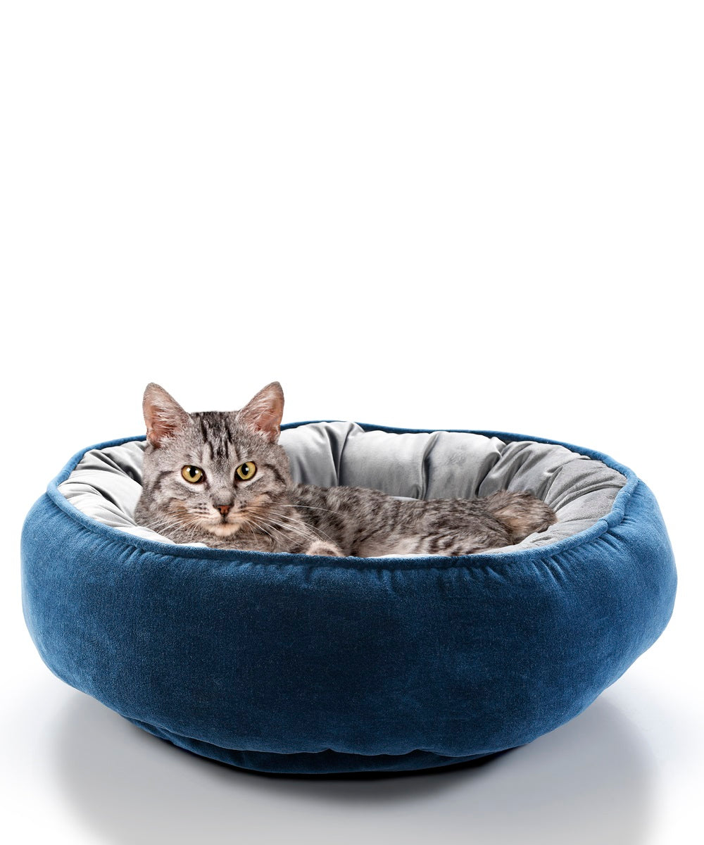 cat bed