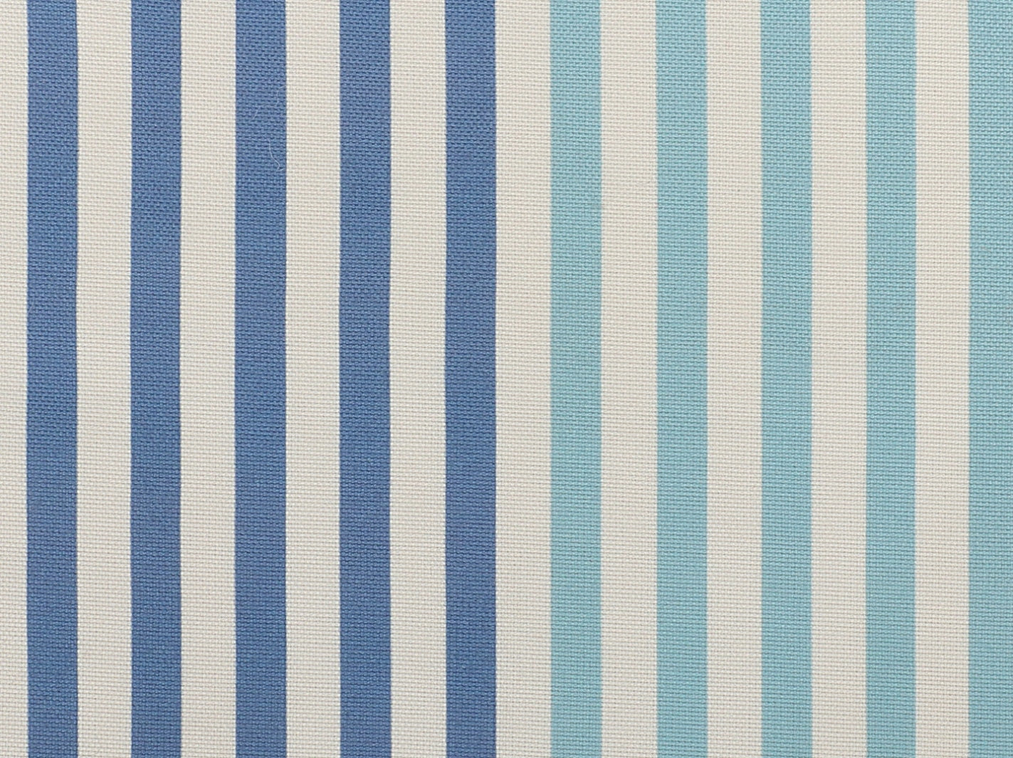 set of 6 piece placemat