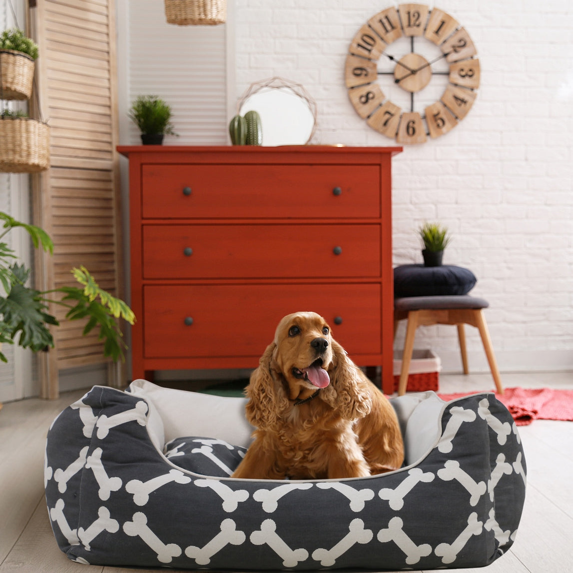 pet bed
