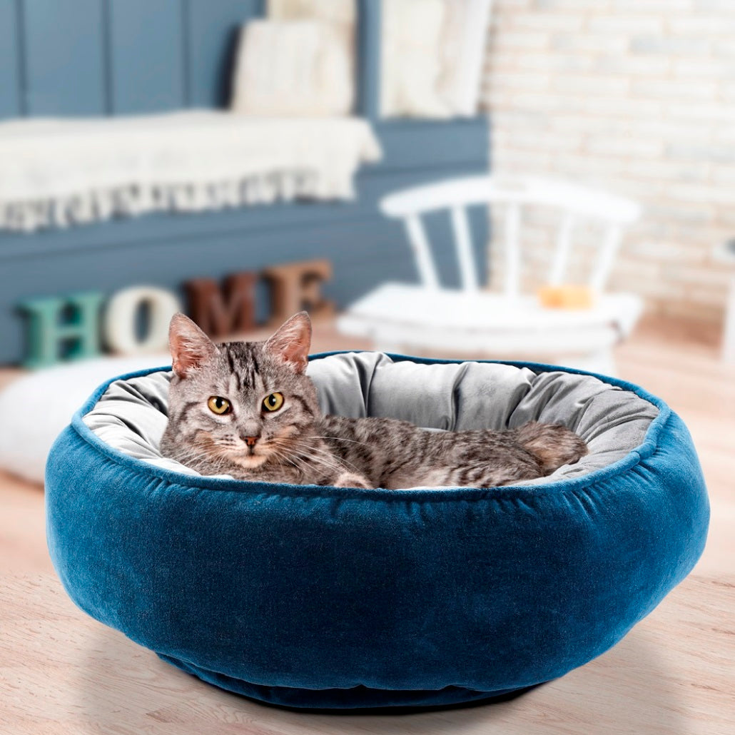 pet bed