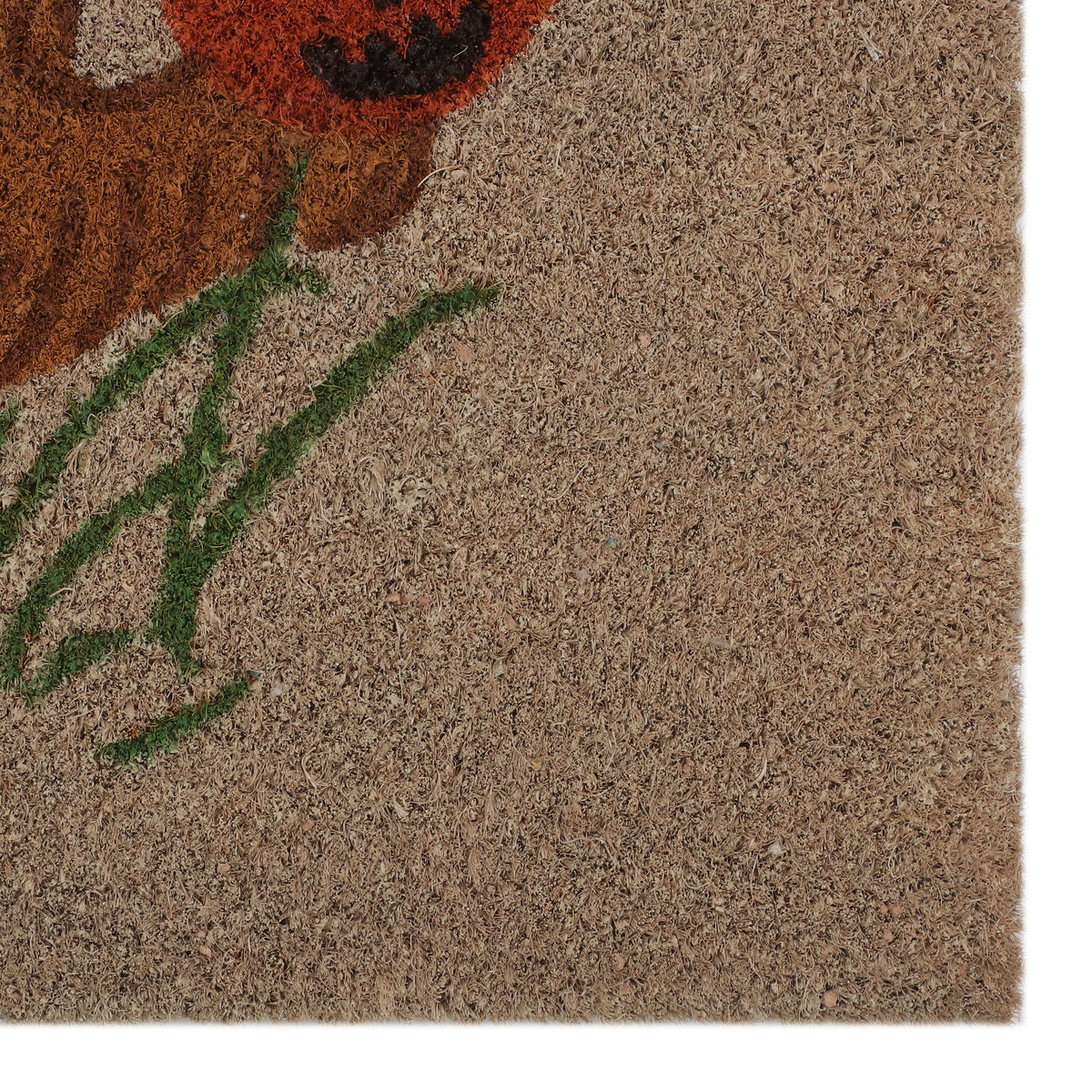 Halloween Dog Doormat