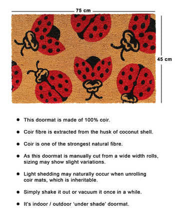 45x75 cm doormat