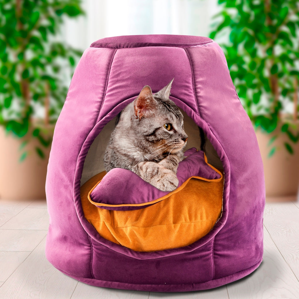 cat bed