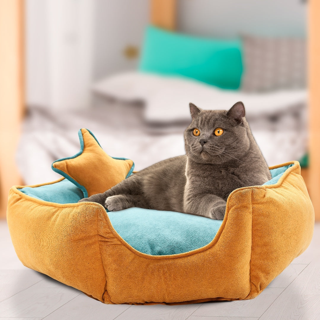 pet bed